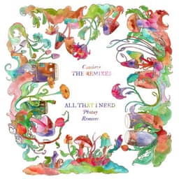 All That I Need (Photay Remixes)