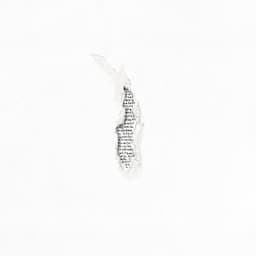 Les gens passent, le temps reste