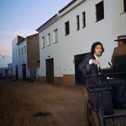 Mosquito in the Photo Booth